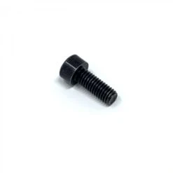 Bolt M6 (16 Mm) 31304